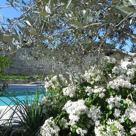 Villa Del Re 3 Face A La Piscine 拉弗洛特 外观 照片