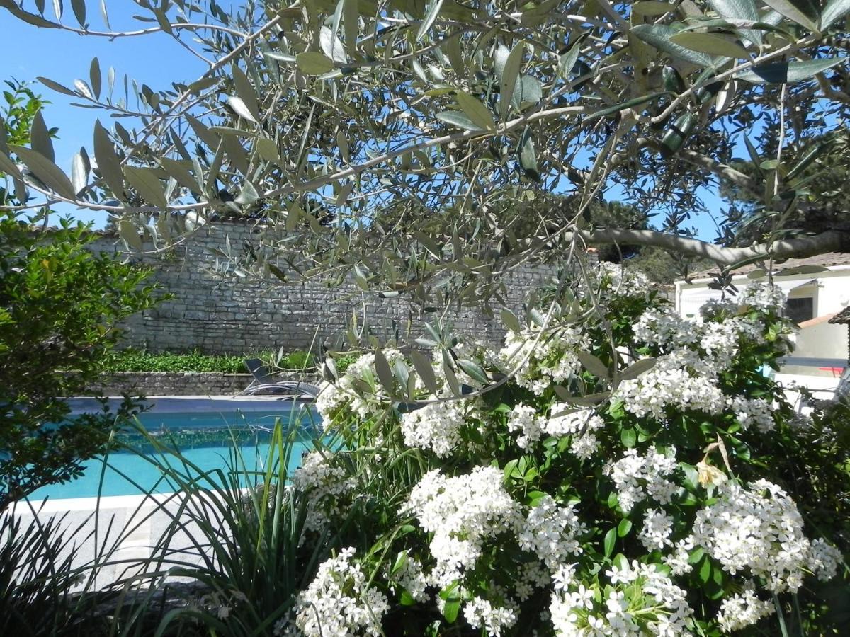 Villa Del Re 3 Face A La Piscine 拉弗洛特 外观 照片